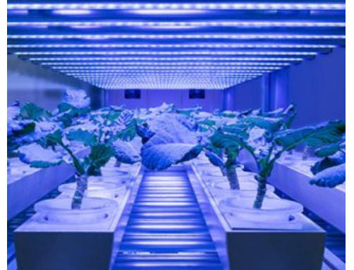 農(nóng)業(yè)光譜par ppfd+